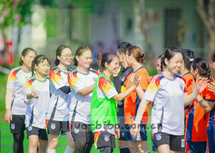 以波纹和锁形组合的抽象数据安全图形